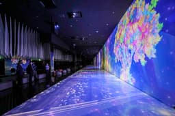 카페 마니아 주목! 컨셉부터 남다른 카페 투어 코스!