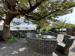 젤코바 베이커리 카페