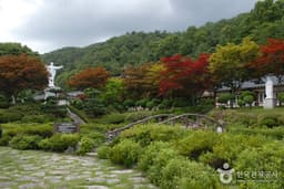 약초의 고장, 제천에서 즐기는 건강여행