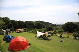 더숲캠핑장