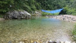 양평숲 비룡캠프장