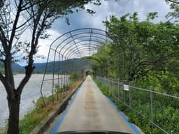 강원평화누리길 15코스 인제 북면길