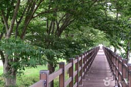 화순동복연둔리숲정이