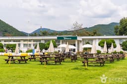 더플레이그라운드