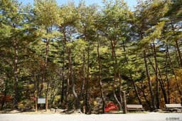 국립 가리왕산자연휴양림