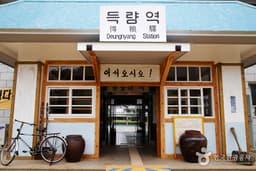 청량한 남도의 숲