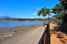 솔섬오토캠핑장