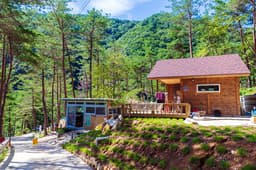 왕피천숲속캠핑장