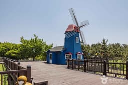 서해안 바람공원