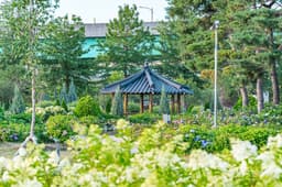 구리한강시민공원(코스모스공원)