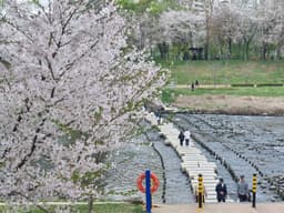 [서울둘레길 13코스] 안양천 상류코스