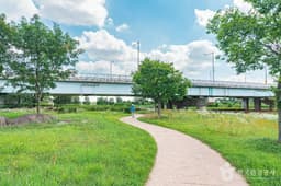 산동교친수공원