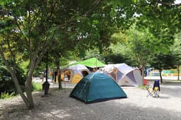 자작나무오토캠핑장