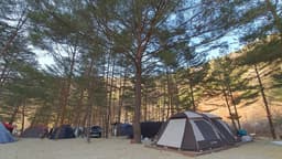 물가솔솔캠핑장