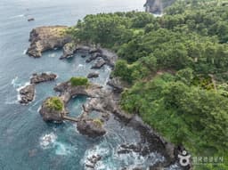 제주도 관광특구