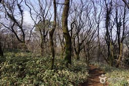 있는 그대로 제주의 자연을 거닐어볼 코스