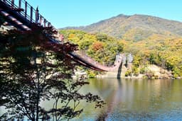 오늘, 지금, 여기! 가장 핫한 DMZ 스팟으로 떠나보자!