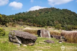 고창 고인돌 유적 [유네스코 세계유산]