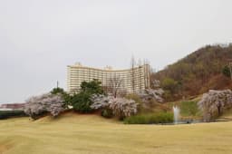 라비돌컨트리클럽