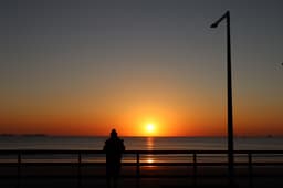 몽산포오토캠핑장2구역