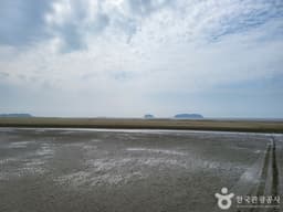 고창갯벌