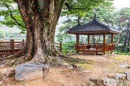 영주 솔향기마을