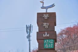 봉황산산림욕장