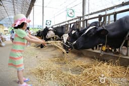 목장 체험은 여주에서~