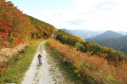 하이원 하늘길 트레킹