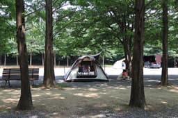 보보스캇 펜션 캠핑장