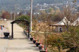 [평화누리길 9코스] 율곡길