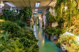 서울고속버스터미널 꽃도매상가