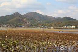 바다, 항구, 문화, 예술을 품은 카멜레온의 도시