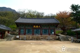 산사에서 21세기 밤하늘의 별과 과학체험을 함께