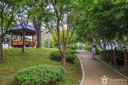 솔밭공원(안성)