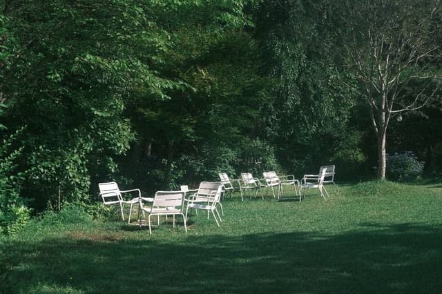 Image 18
