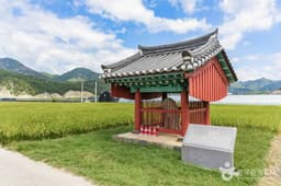 금산 천내리 용호석