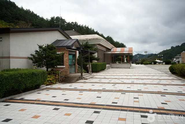 Image 4