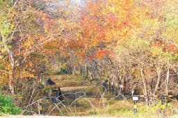 파주 DMZ 생태연구소