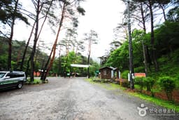 밝고 청정한 영양의 산천을 찾아서