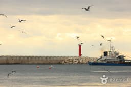 대게의 고장, 영덕대게로를 따라 바다를 즐기다