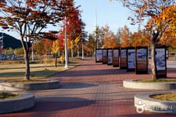 도라산 평화공원