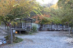 영월천문대 캠핑장