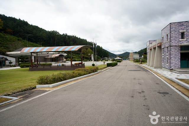 Image 5