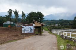 제주홀스타승마장