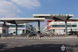 수원 농수산물도매시장