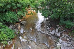 원시 자연의 아름다움을 만끽하는 홍천 계곡 여행