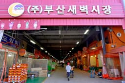 부산새벽시장