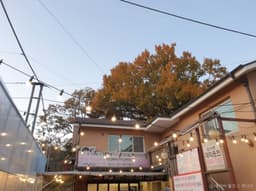 어울더울 과천본점