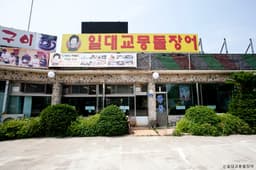 일대교몽돌장어
